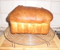 SANDWICH IN CASSETTA