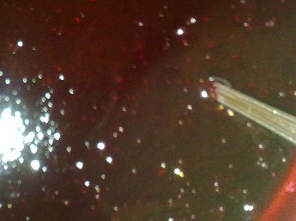 Salsa ai frutti di bosco