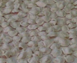 Orecchiette
