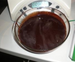 SANGUINACCIO (CARNEVALE)