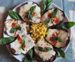 GIRASOLE DI MELANZANE