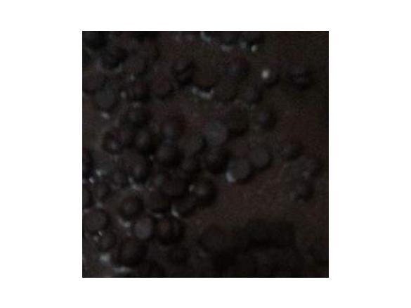 Torta con le noci al profumo d' arancia