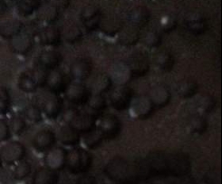 Torta con le noci al profumo d' arancia