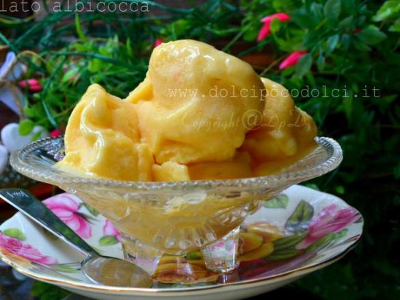 Gelato albicocca con Bimby
