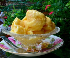 Gelato albicocca con Bimby