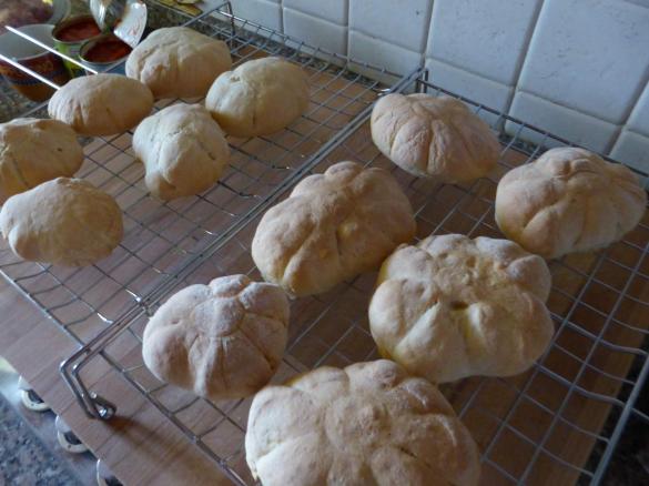 pane rosette di farine miste