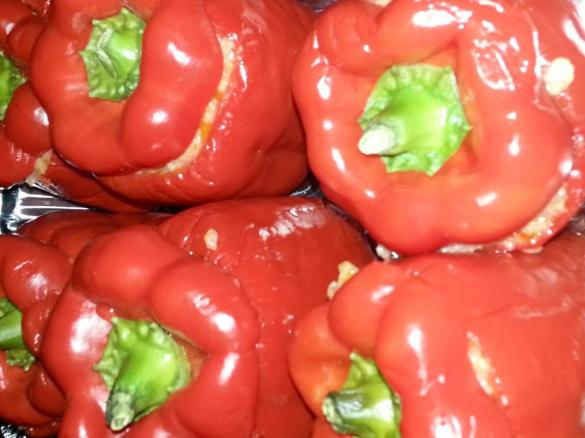 peperoni ripieni di riso