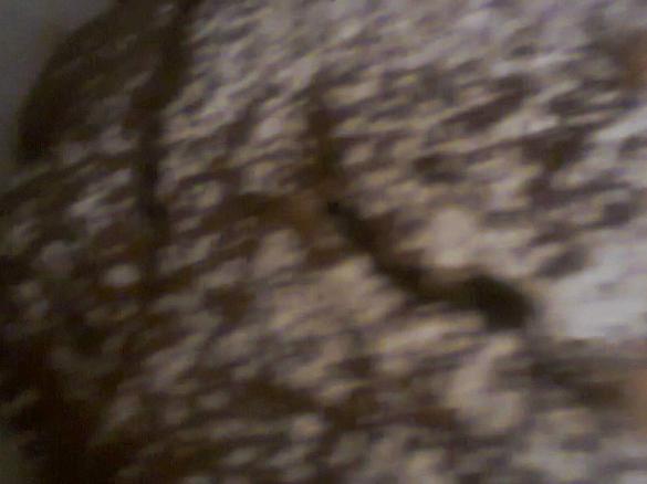 torta nocciole e nutella