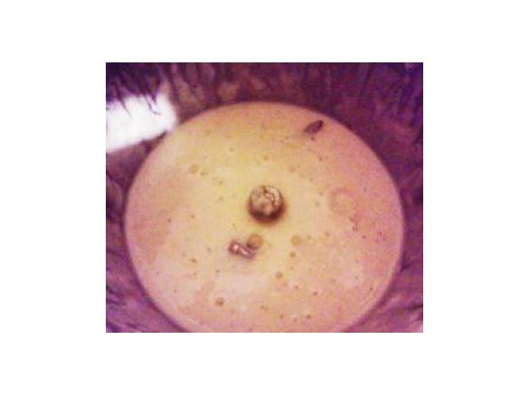 Besciamella Super Light