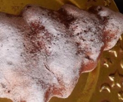 Torta macrobiotica alla vaniglia