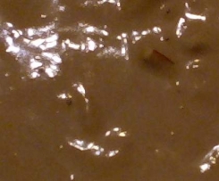 salsa per coktail di gamberi