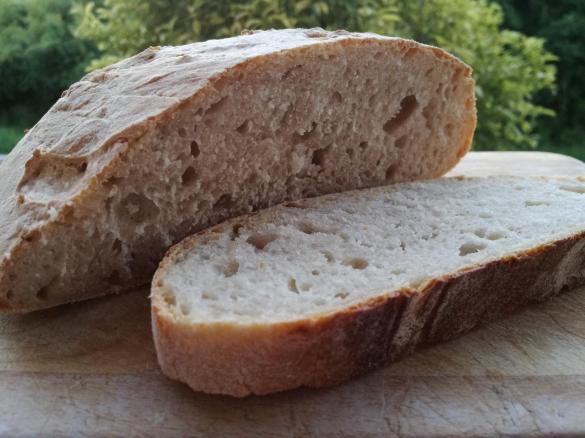 PANE VELOCE CON ESUBERO DI PASTA MADRE