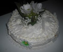 torta di Ludo con farcia di amarene