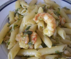 Penne con zucchine e Gamberetti