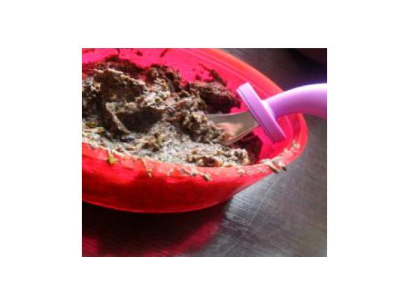 Salsa macrobiotica alle alghe