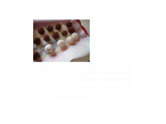 boules dolci di cocco e cacao