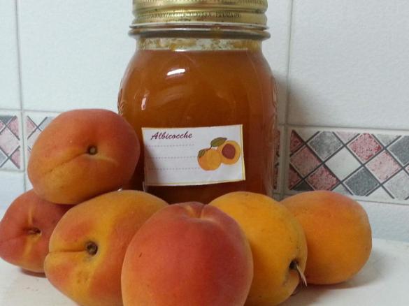 Confettura di albicocche