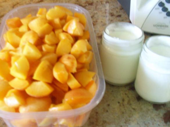 Gelato gusto Albicocca