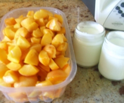 Gelato gusto Albicocca