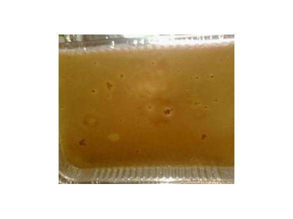 PANNA COTTA AL CIOCCOLATO