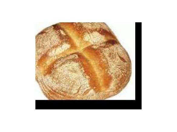 Pane di grano duro