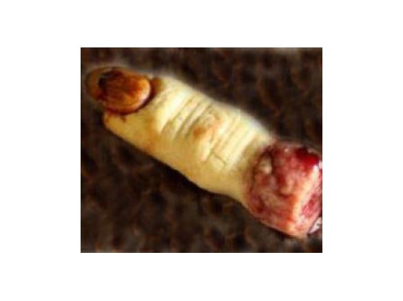 Dita mozzate...per halloween.