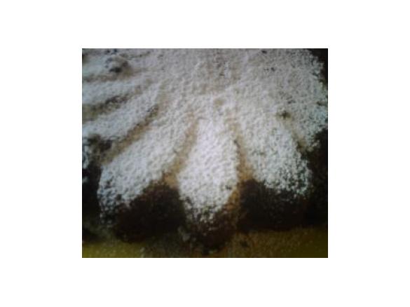 TORTA AL CIOCCOLATO E COCCO