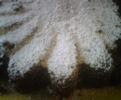 TORTA AL CIOCCOLATO E COCCO