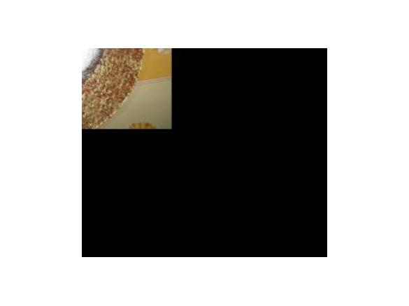 LA DELIZIA DI SILVIA