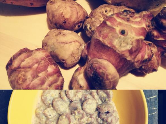 Gnocchi di batata, sedano rapa e topinambur in salsa di kefir di seconda fermentazione al pistacchio-CONTEST GNOCCHI