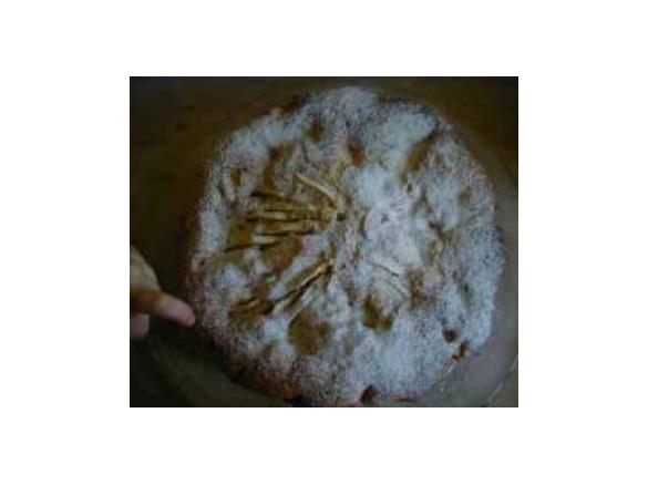 Torta di mele della maestra Rachele