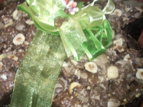 COLOMBA ROCHER (VELOCISSIMA!)