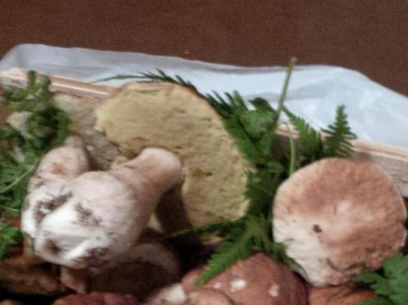 Zuppa ai funghi porcini