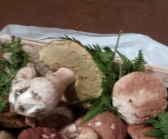 Zuppa ai funghi porcini