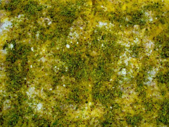 lasagne con crema di zucca e pistacchi