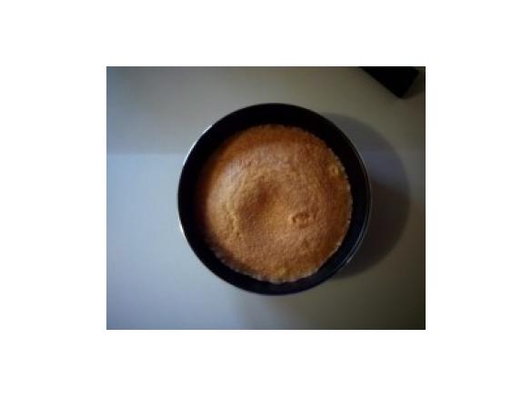 Torta alle carote cotta al microonde