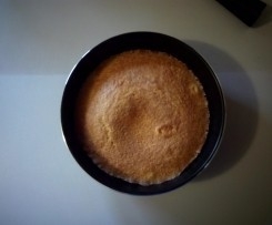 Torta alle carote cotta al microonde