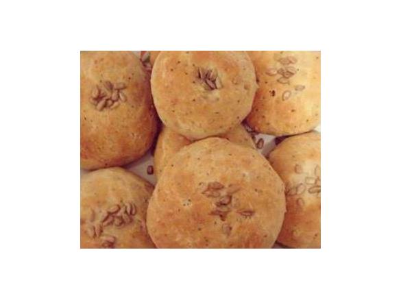 panini ai semi misti