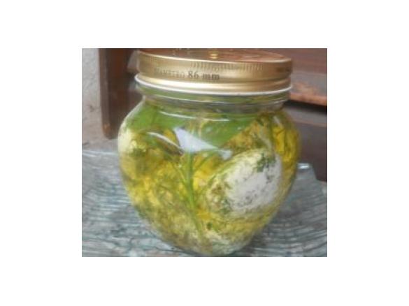 Bocconcini di formaggio sott'olio 