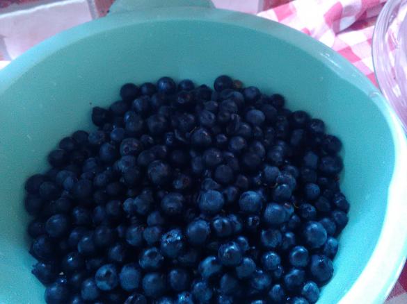 MARMELLATA DI UVA ROSSA