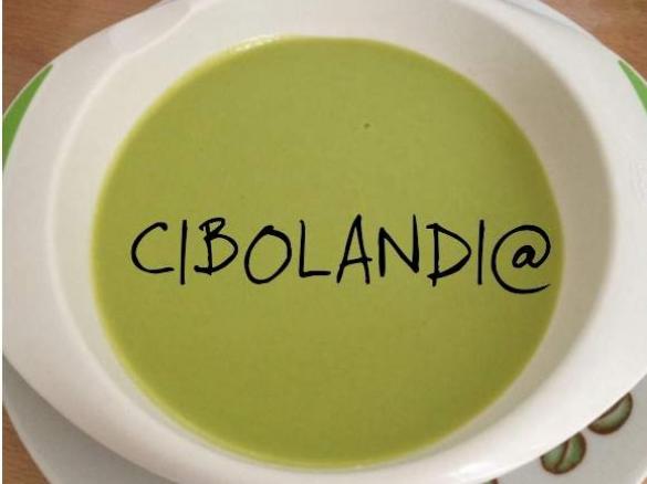 VELLUTATA LIGHT DI LATTUGA