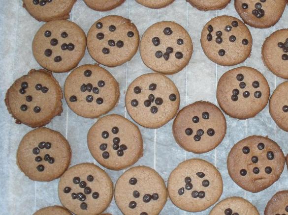 frollini al cacao semplici semplici