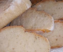 Pane veloce con lievito madre