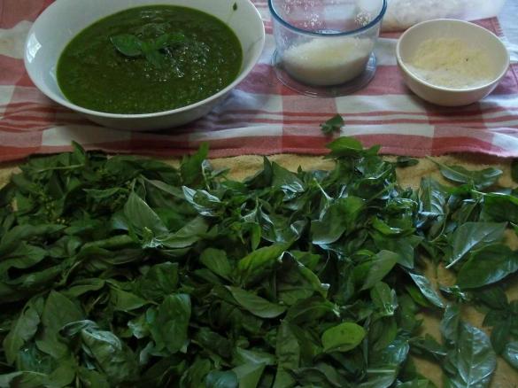 pesto alla genovese piccante al peperoncino 