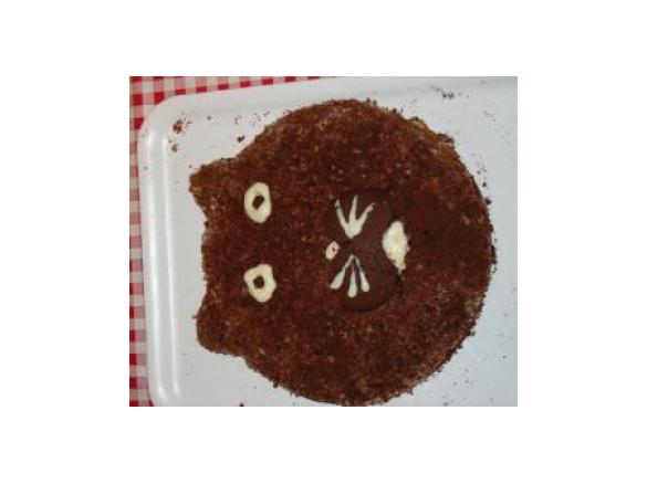 TORTA GATTO O ORSETTO EFFETTO PELOUCHE