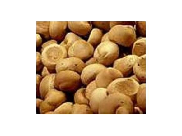 Biscotti di S. Martino