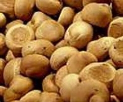 Biscotti di S. Martino