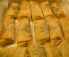 Involtini primavera vegetariani al forno