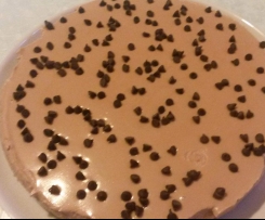 Torta fredda con ricotta nutella e gocce di cioccolato