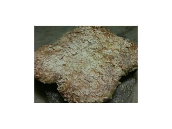 Colomba Pasquale di Patty